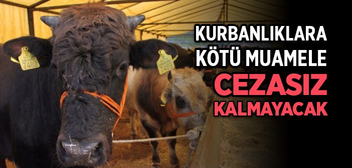 Kurbanlıklara Kötü Muamele Cezasız Kalmayacak