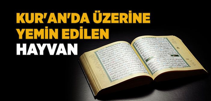 Kuran'da Üzerine Yemin Edilen Hayvan