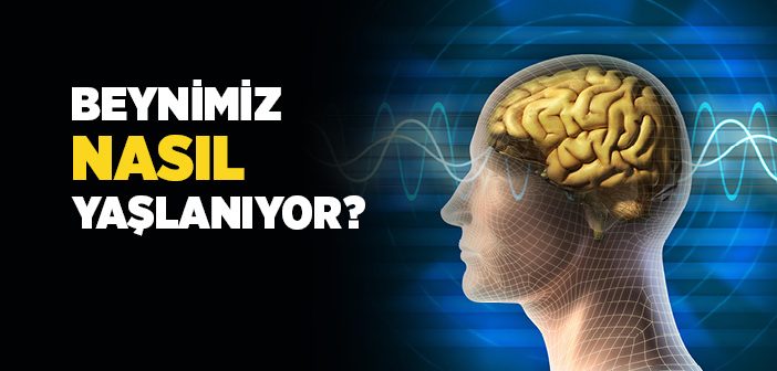 Beyin Nasıl Yaşlanır?