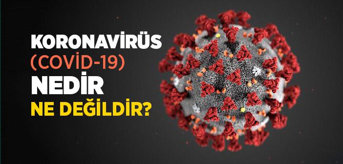 Koronavirüs (Kovid-19) Nedir, Ne Değildir?