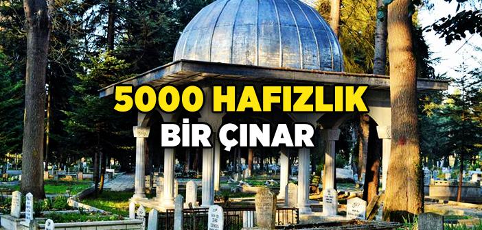 Hafız Hasan Şen Kimdir?