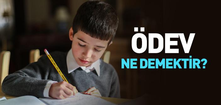 Ödev Nedir?