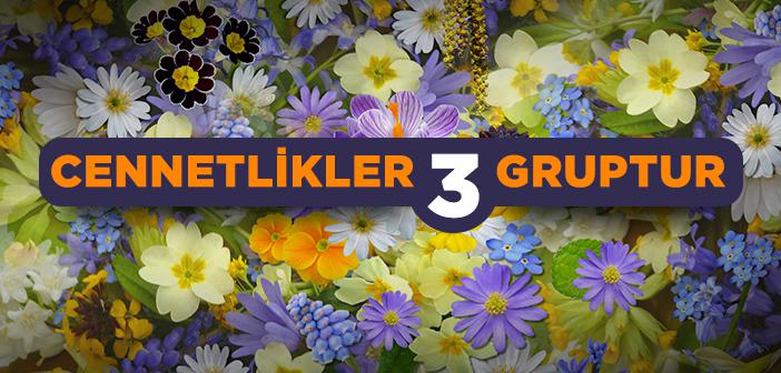 “Cennetlikler 3 Gruptur” hadisi