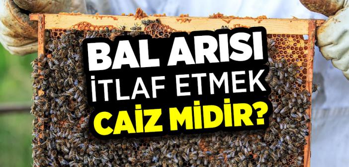 Bal Arısı Öldürmek Caiz mi?