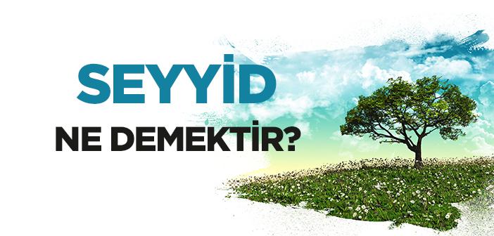 Seyyid Ne Demek?