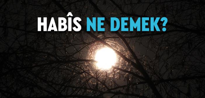 Habîs Ne Demek?