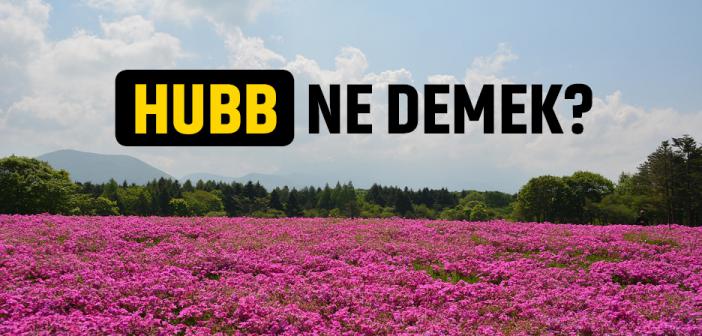 Hubb Ne Demek?