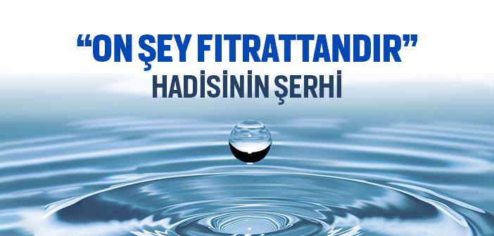 “On Şey Fıtrattandır” Hadisinin Şerhi