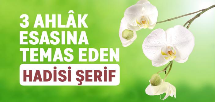 “Sadaka Vermekle Mal Eksilmez…” Hadisini Nasıl Anlamalıyız?