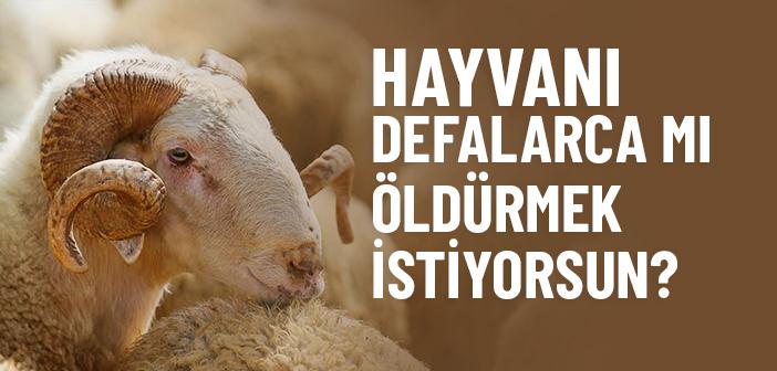 “Hayvanı Defalarca mı Öldürmek İstiyorsun?” Hadisi