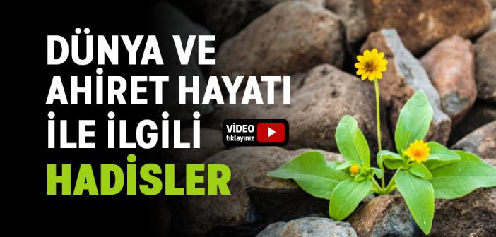 Dünya ve Ahiret Hayatı ile İlgili Hadisler